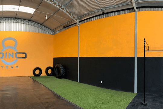 Imagem 2 da galeria do parceiro Dino Team CT