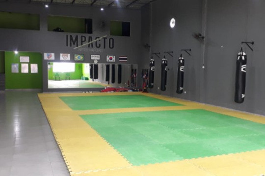 Imagem 2 da galeria do parceiro Impacto Artes Marciais