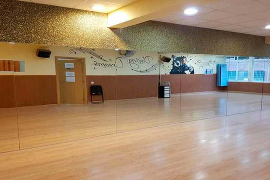 Imagen 2 de la galería del partner Dancing Dreams