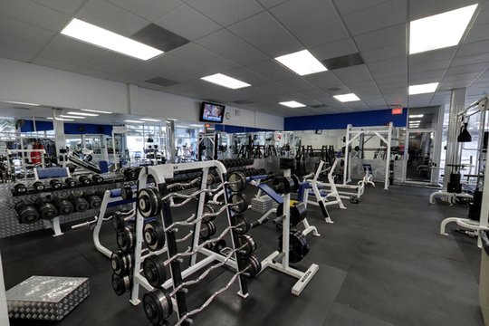 Image 1 from Hollywood Gym partner gallery