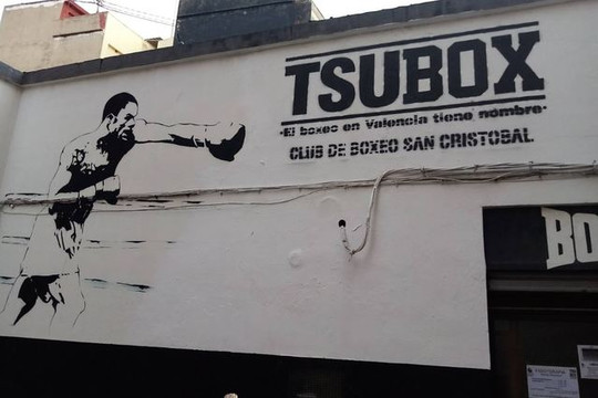 Imagen 3 de la galería del partner Tsubox