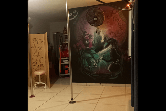Imagem 2 da galeria do parceiro Studio Pole Dance House