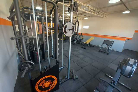 Imagem 1 da galeria do parceiro Ômega Personal Training