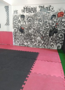 Imagem 1 da galeria do parceiro CT Nascimento Fight Team