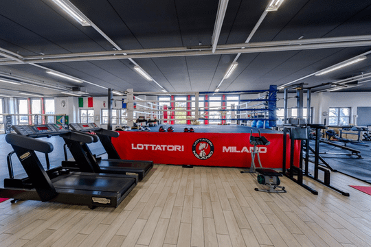 Immagine 2 dalla galleria del partner Lottatori Milano ssd SRL