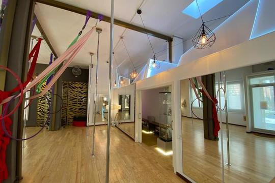 Imagem 2 da galeria do parceiro Clandestino Pole Dance