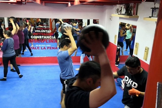 Imagen 2 de la galería del partner Okinawa Sasori