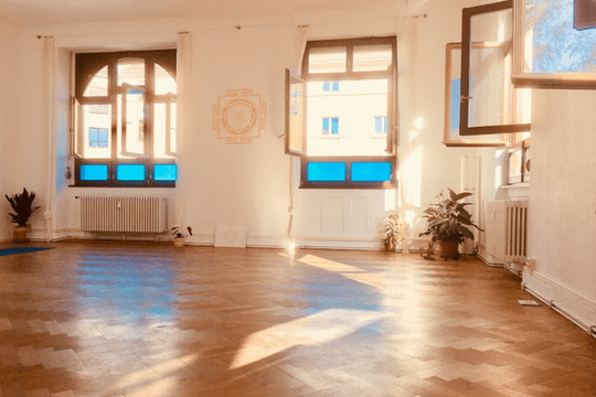 Bild 1 von Ashtanga Yoga Institut Heidelberg Partnergalerie