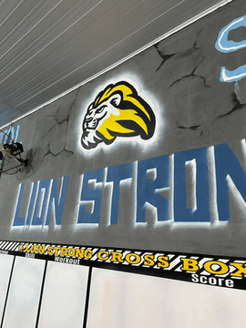 Imagem 1 da galeria do parceiro Lion Strong Centro De Treinamento