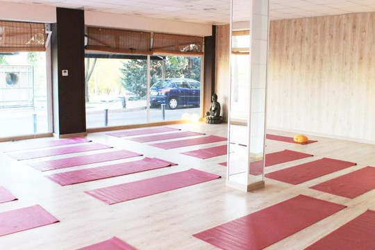 Imagen 3 de la galería del partner Kailash Yoga