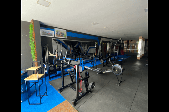 Imagem 3 da galeria do parceiro Freestylepersonalgroup