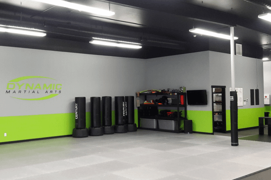 Image 3 from Dynamic Martial Arts partner gallery