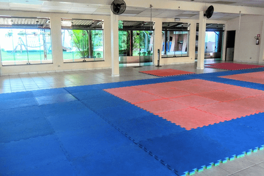 Imagem 2 da galeria do parceiro Clube Aquático Da Aclimação
