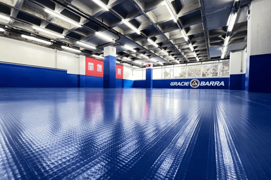 Imagem 1 da galeria do parceiro Gracie Barra Savassi