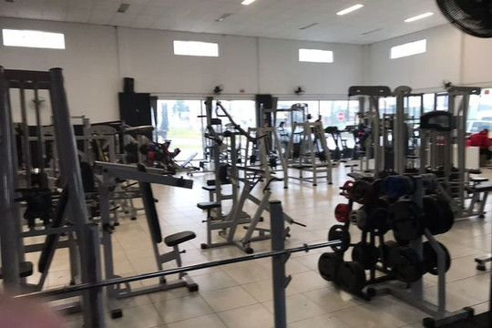 Imagem 1 da galeria do parceiro Evolução da Forma