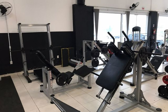 Imagem 2 da galeria do parceiro Evolução da Forma