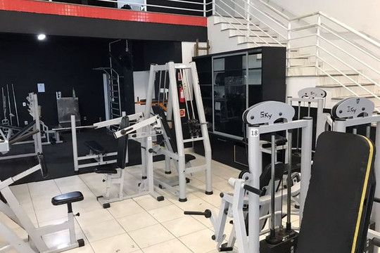 Imagem 3 da galeria do parceiro Evolução da Forma