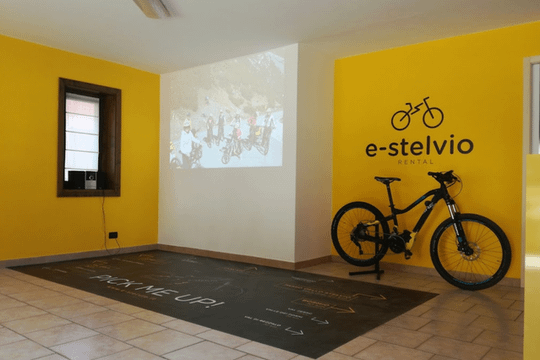 Immagine 1 dalla galleria del partner E-Stelvio