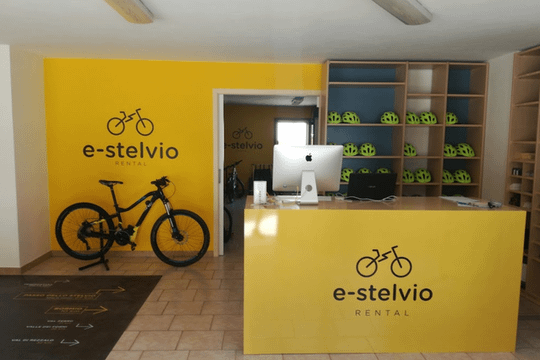 Immagine 3 dalla galleria del partner E-Stelvio