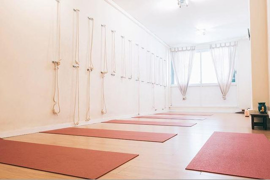 Imagen 1 de la galería del partner Bodhi Yoga y Terapias Naturales