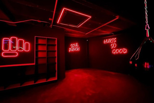 Imagen 1 de la galería del partner Soul Punch Club