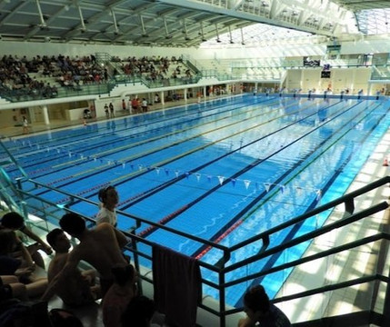 Immagine 2 dalla galleria del partner Piscina Centro Nuoto Stadio - UISP Bologna