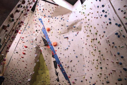 Imagen 3 de la galería del partner La Panxa del Bou