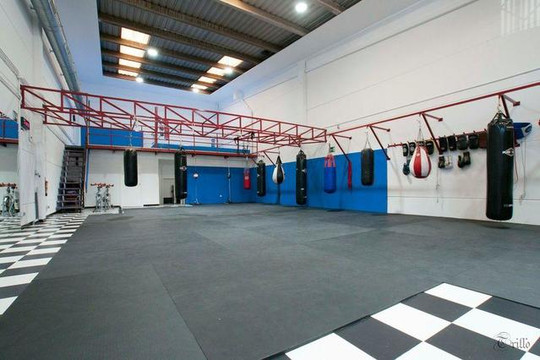 Imagen 1 de la galería del partner Escuela Deportiva DK Team Alcorcón