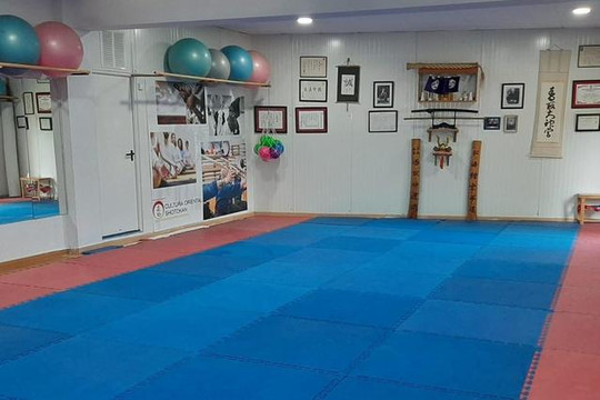 Imagen 1 de la galería del partner Centro Deportivo Shotokan
