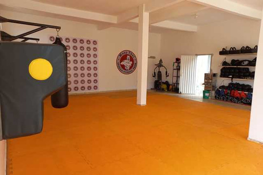 Imagem 1 da galeria do parceiro Apollo Pitbull Team