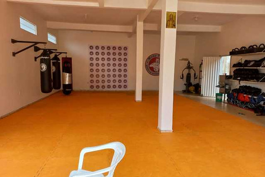 Imagem 2 da galeria do parceiro Apollo Pitbull Team