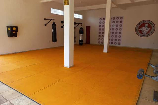 Imagem 3 da galeria do parceiro Apollo Pitbull Team