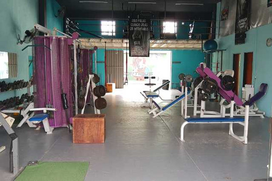 Imagen 1 de la galería del partner Optimus Gym Fitness