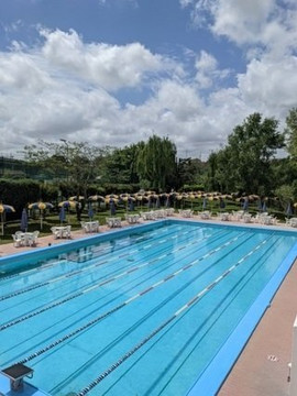 Immagine 1 dalla galleria del partner Sporting Club Ostiense Piscina