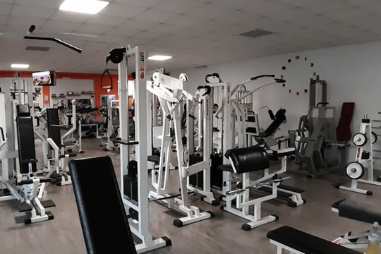 Immagine 1 dalla galleria del partner Palaistike Associazione Sportiva