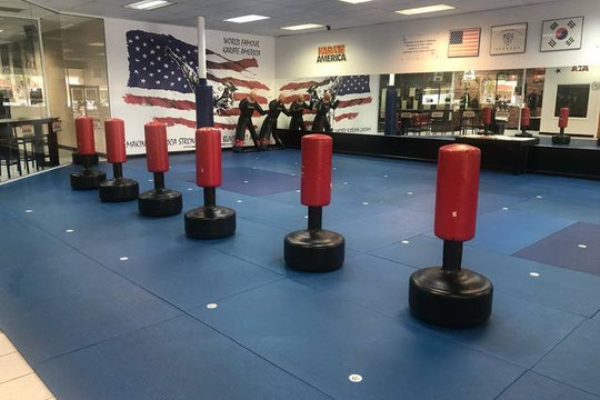 Image 3 from Karate America Ponte Verde partner gallery