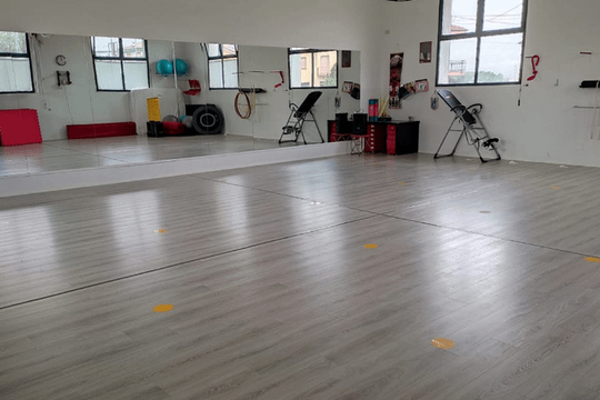 Immagine 3 dalla galleria del partner Kinesica Fitness - Circuit Training