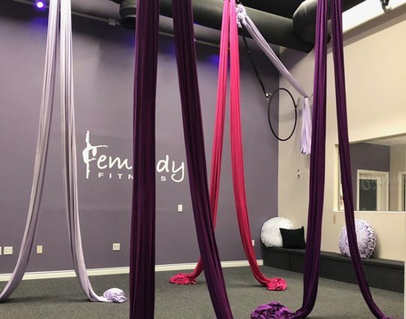 Image 1 from Embody Alternative Fitness HB partner gallery