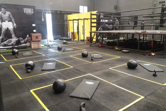 Imagen 1 de la galería del partner Vikings