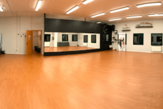 Immagine 3 dalla galleria del partner LyF Scuola di Ballo & Fitness