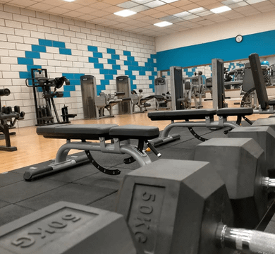Immagine 1 dalla galleria del partner Power Gym asd