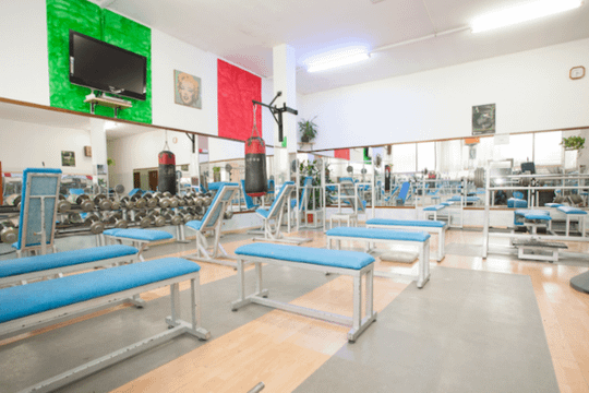 Immagine 3 dalla galleria del partner Palestra Gymnasium 101