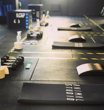 Imagen 2 de la galería del partner Animal Studio - Comega