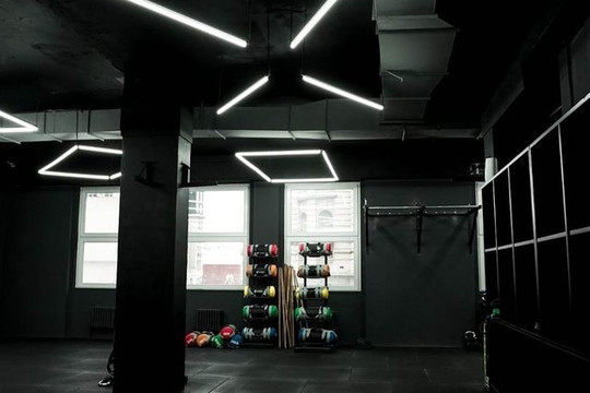 Imagen 3 de la galería del partner Animal Studio - Comega