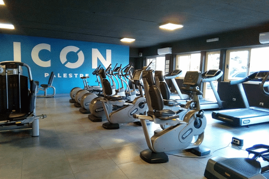Immagine 1 dalla galleria del partner ICON PALESTRE - Ceccano