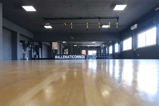 Immagine 3 dalla galleria del partner ICON PALESTRE - Ceccano