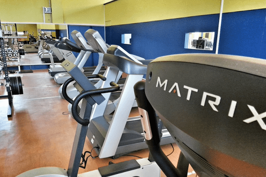 Immagine 1 dalla galleria del partner Palestra New EGO