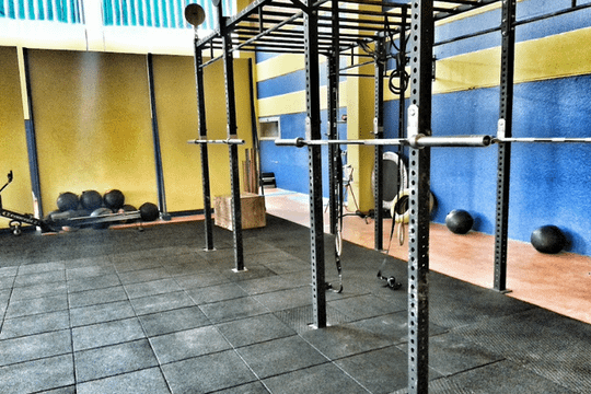 Immagine 3 dalla galleria del partner Palestra New EGO