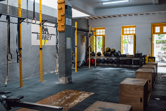 Imagem 1 da galeria do parceiro Monkey Grip/Nova Geração