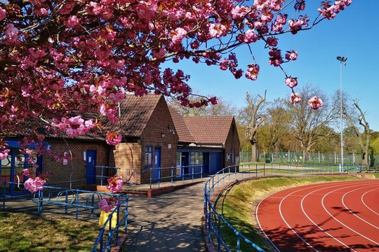 Image 2 from Ladywell Arena partner gallery